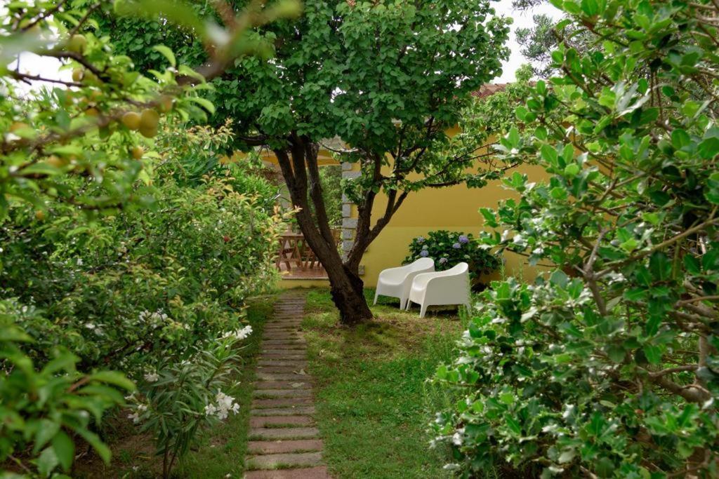Residence Agrifoglio Monte Petrosu Buitenkant foto